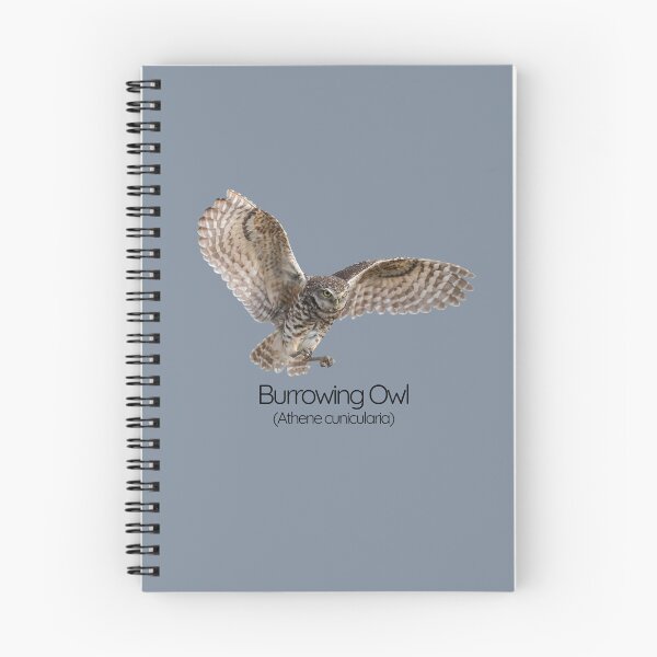 Item preview, Burrowing Owl – The Quirky Ground-Dweller designed and sold by The Digital Compass.
