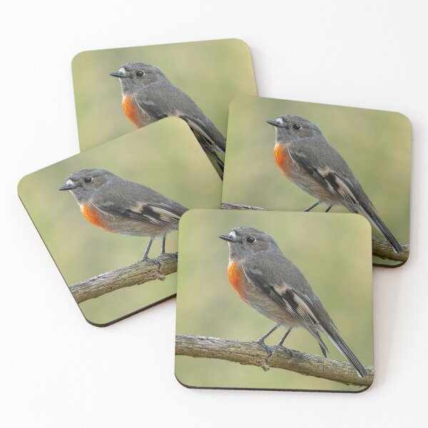 Item preview, Female Scarlet Robin designed and sold by Nick Vertsonis.