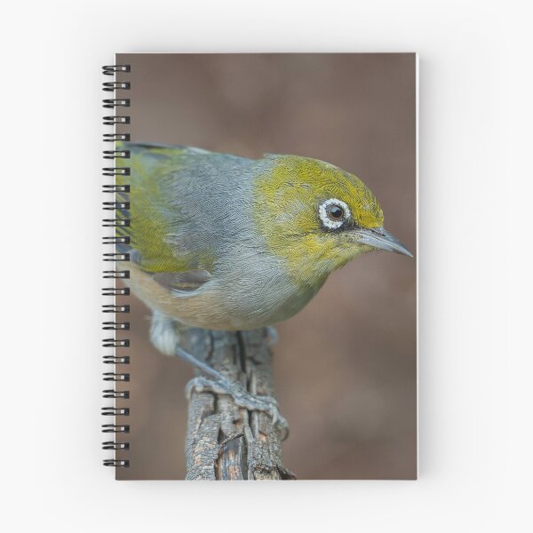 Item preview, Silvereye designed and sold by Nick Vertsonis.