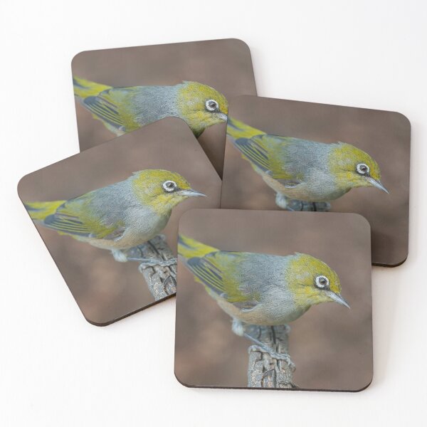 Item preview, Silvereye designed and sold by Nick Vertsonis.
