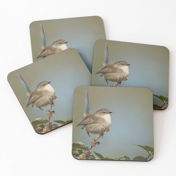 Item preview, Male Superb Fairywren designed and sold by Nick Vertsonis.