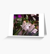 Bell Flower Kingdom: Greeting Card