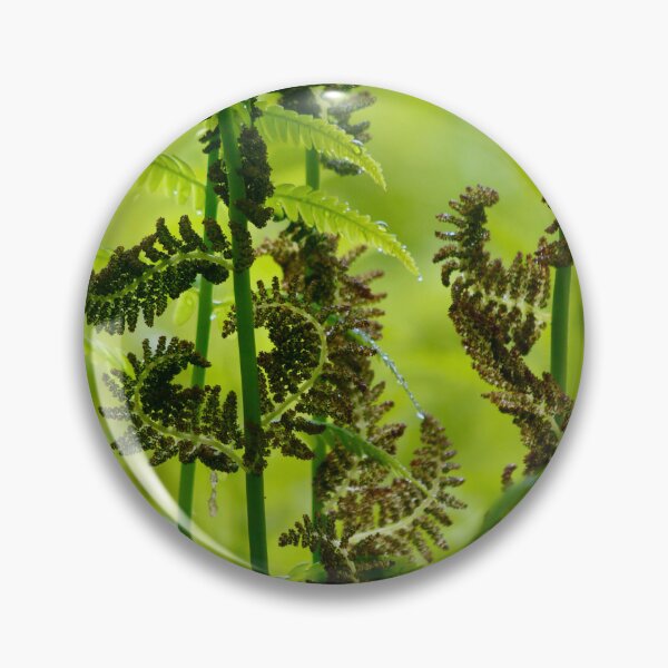 Item preview, Unfurling ferns designed and sold by MaggieRan26.