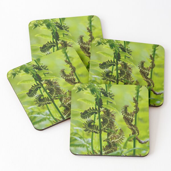 Item preview, Unfurling ferns designed and sold by MaggieRan26.