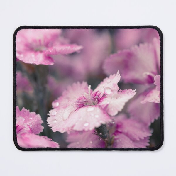 Item preview, Pink Dianthus Flowers designed and sold by Tanya C Smith.