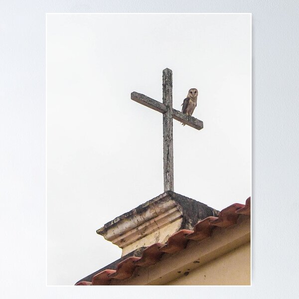 Item preview, owl on a church cross designed and sold by felipequeiroz.
