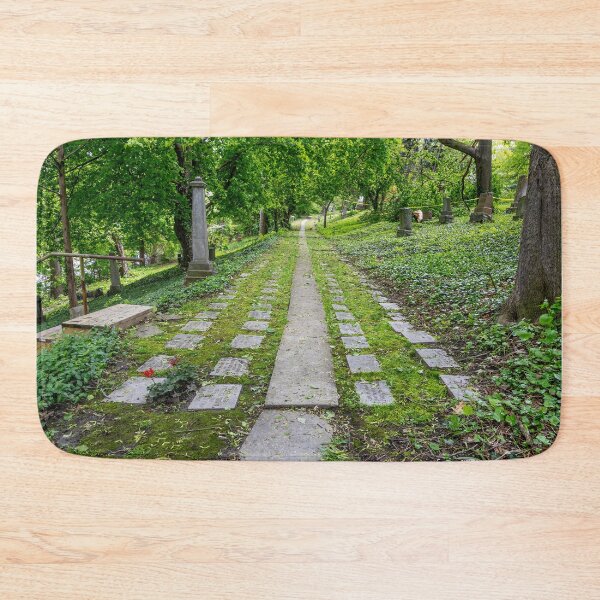 Item preview, Pathway at Toronto Necropolis designed and sold by jrtwynam.