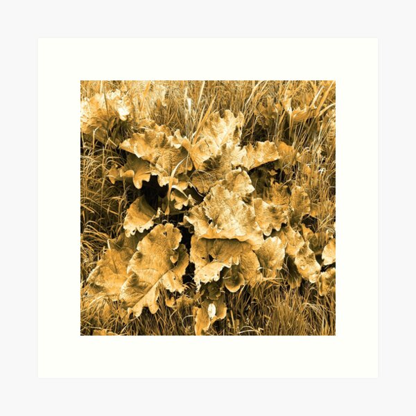 Item preview, Big leaves in Gold designed and sold by Robert Elfferich.