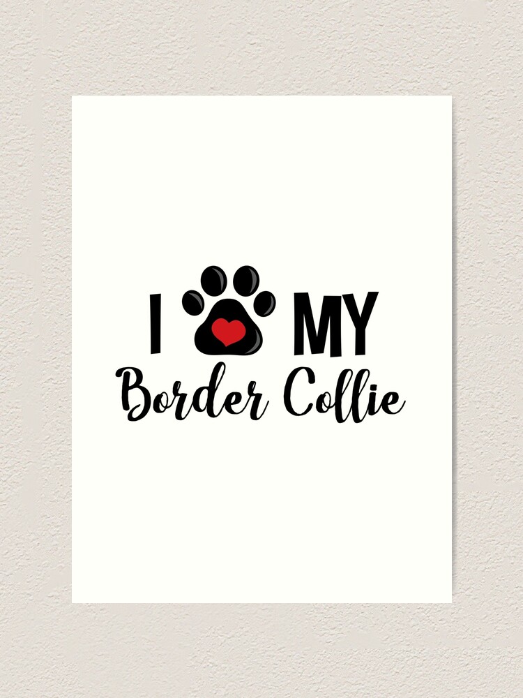 i love my border collie