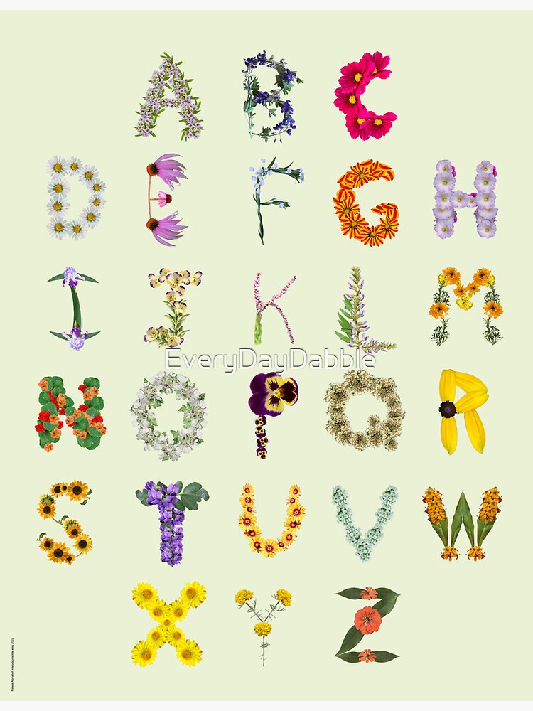 Floral Alphabet Letters | Wildflower Alphabet | Phonetic Embedded ABC