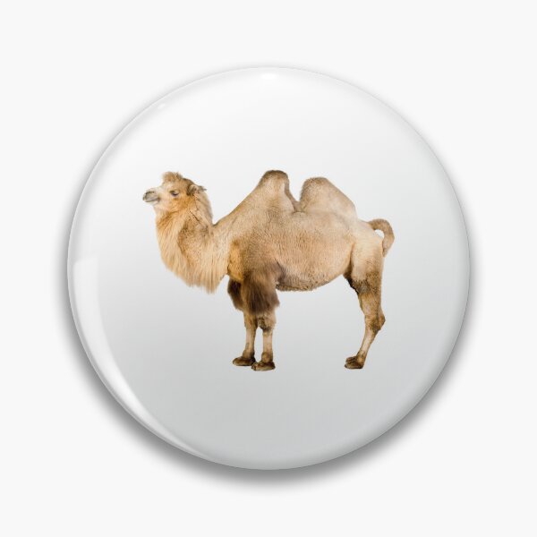 Item preview, Funky Camel designed and sold by dcohea.