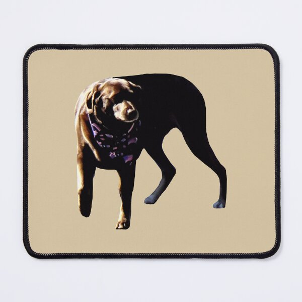 Item preview, Chocolate Lab designed and sold by Susan Savad.