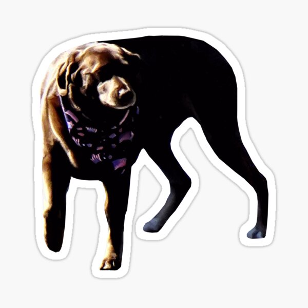 Item preview, Chocolate Lab designed and sold by Susan Savad.
