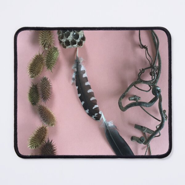Item preview, Nature still life with burs, feathers, wasp nest and grape tendrils designed and sold by EveryDayDabble.