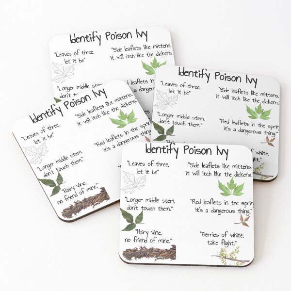 Item preview, Identify poison ivy plant | Poison Ivy Rhyme | Camping Shirt Toxicodendron radicans designed and sold by EveryDayDabble.
