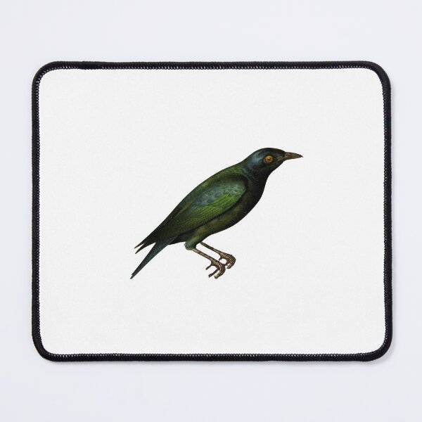 Item preview, Starling Vintage bird illustration | Wild Bird | Eerie designed and sold by EveryDayDabble.