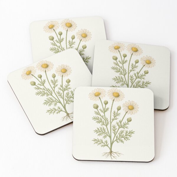 Item preview, Vintage Botanical Chamomile Flower Illustration designed and sold by ArtofBotany.