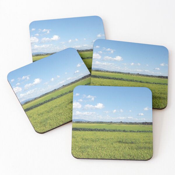 Item preview, photonuri photography works 2024P022 designed and sold by photonuri.