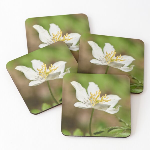 Item preview, In the sun. Wood anemone designed and sold by Jouko Lehto Photography.