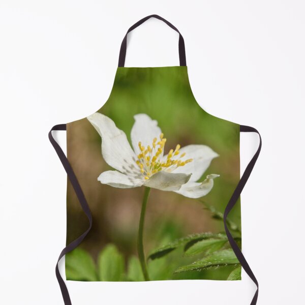 Item preview, In the sun. Wood anemone designed and sold by Jouko Lehto Photography.