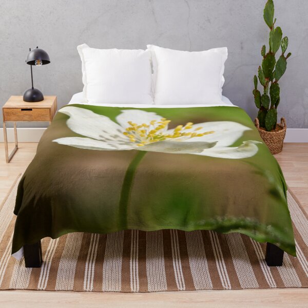 Item preview, In the sun. Wood anemone designed and sold by Jouko Lehto Photography.