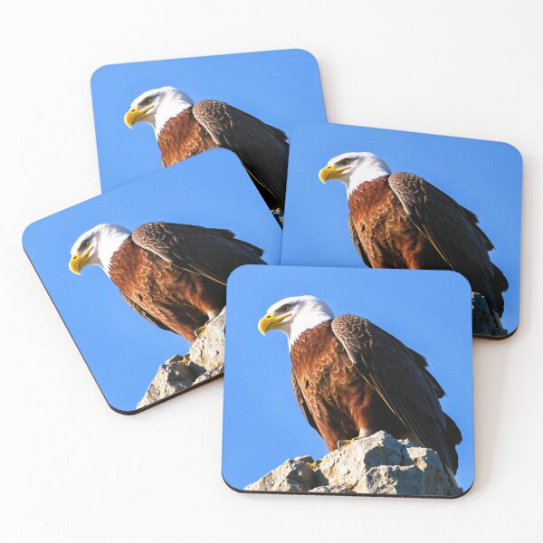 Item preview, Bald Eagle on Cliff Edge designed and sold by CTM ArtStudio.