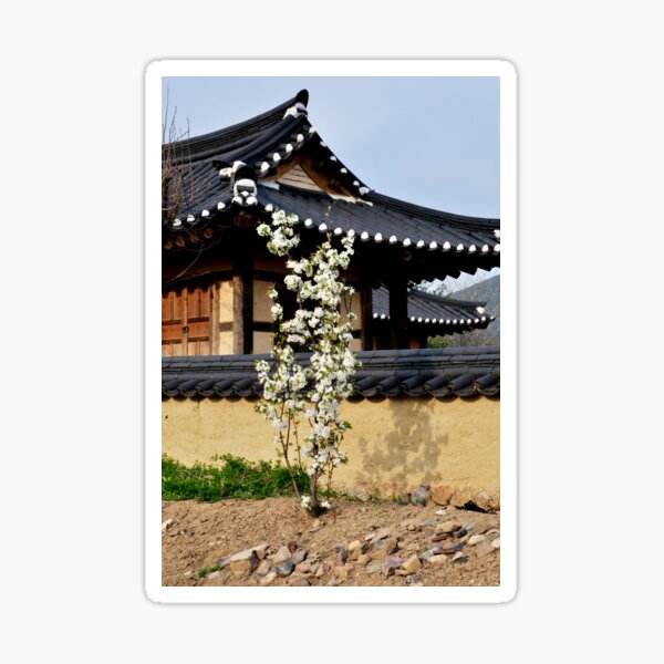 Item preview, photonuri photography works 2024P024 designed and sold by photonuri.
