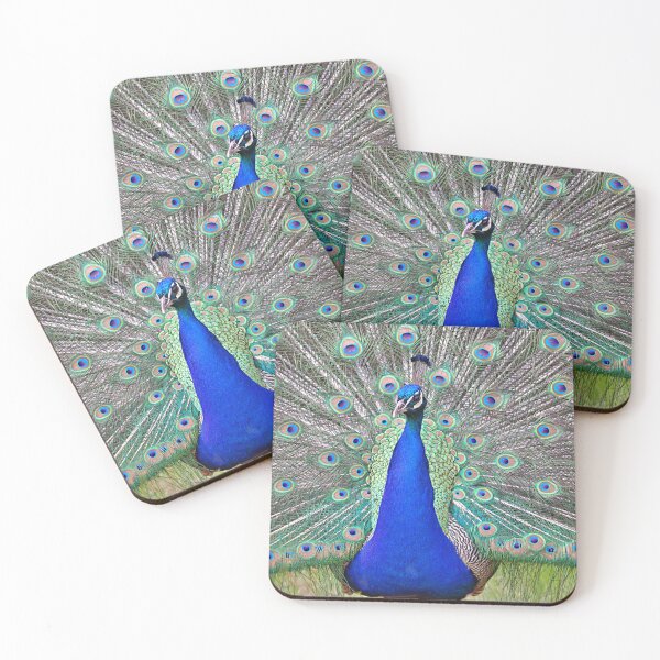 Item preview, Peacock display designed and sold by AntonyGRobinson.