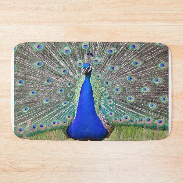 Item preview, Peacock display designed and sold by AntonyGRobinson.