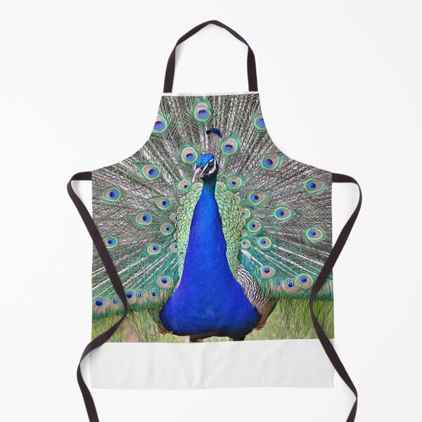 Item preview, Peacock display designed and sold by AntonyGRobinson.