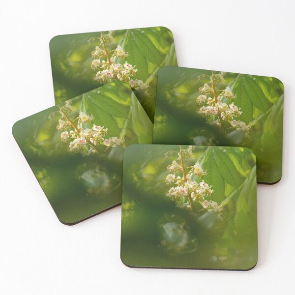 Item preview, Spring Bloom – Horse Chestnut Flowers Hidden in Greenery designed and sold by City and Nature in the Lens.