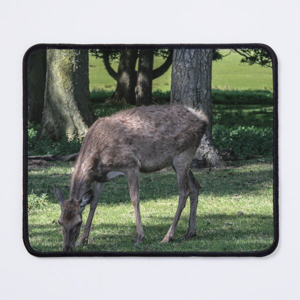 Item preview, Red Deer designed and sold by Raymond Kerr.