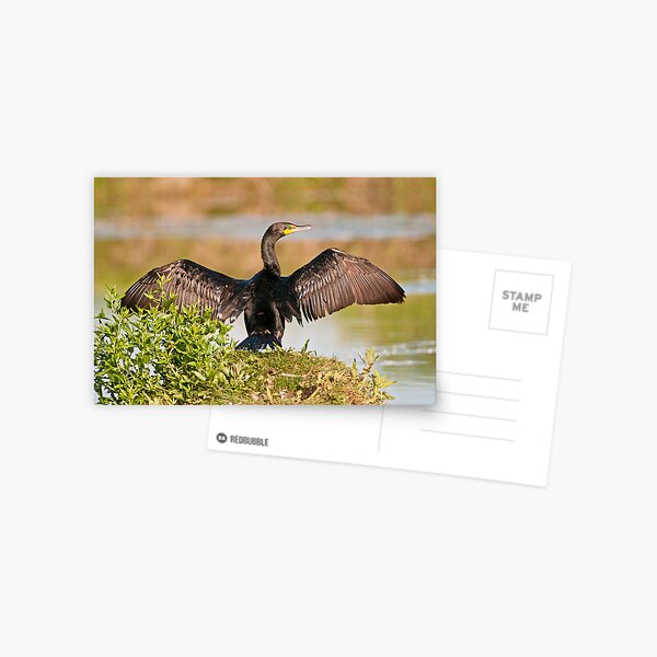 Item preview, Double-Crested Cormorant designed and sold by Gary Lengyel.