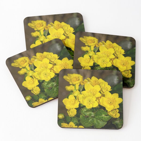 Artikelvorschau, Leuchtendes Gelb. Sumpfdotterblume 2025 entworfen und verkauft von Jouko Lehto Photography.