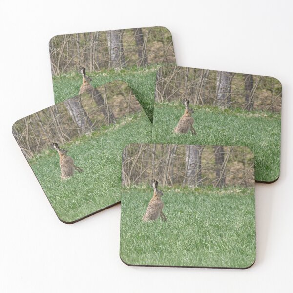 Item preview, Just to be careful. European hare designed and sold by Jouko Lehto Photography.