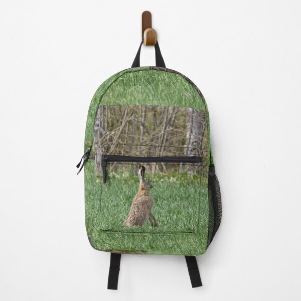 Item preview, Just to be careful. European hare designed and sold by Jouko Lehto Photography.