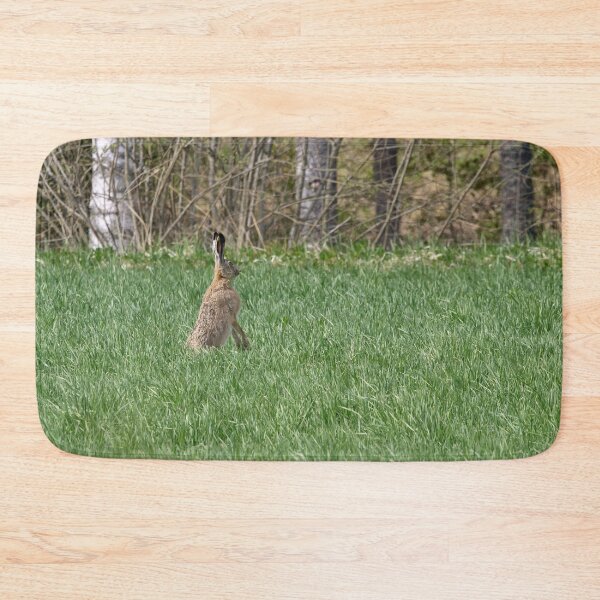 Item preview, Just to be careful. European hare designed and sold by Jouko Lehto Photography.