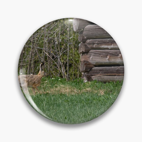 Item preview, Hare and a barn.  European hare designed and sold by Jouko Lehto Photography.