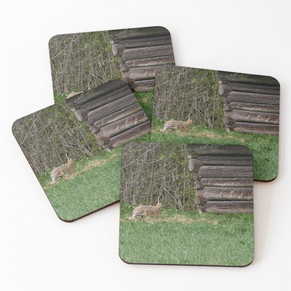 Item preview, Hare and a barn.  European hare designed and sold by Jouko Lehto Photography.