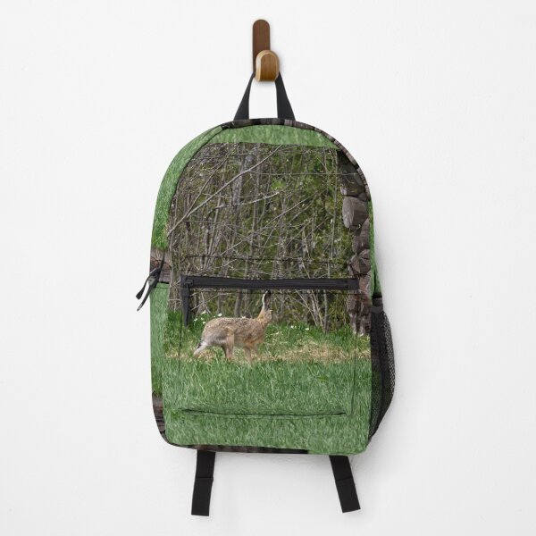 Item preview, Hare and a barn. European hare designed and sold by Jouko Lehto Photography.
