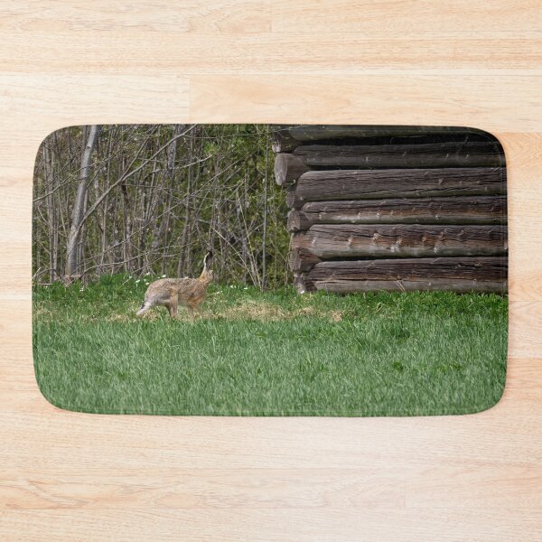Item preview, Hare and a barn.  European hare designed and sold by Jouko Lehto Photography.
