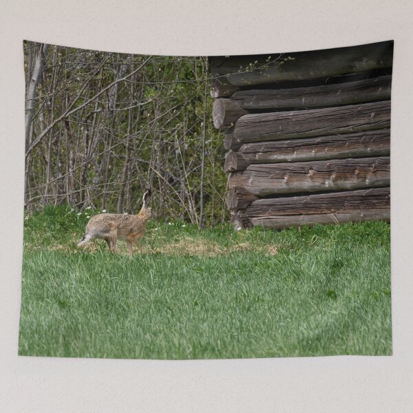 Item preview, Hare and a barn.  European hare designed and sold by Jouko Lehto Photography.