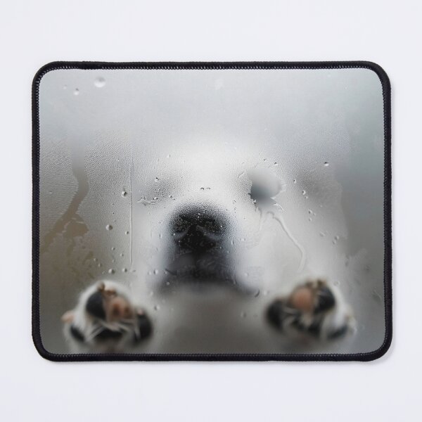 Item preview, Let me in dog with paws designed and sold by Brendon987.