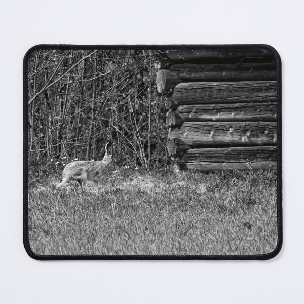 Item preview, Hare and a barn. European hare bw designed and sold by Jouko Lehto Photography.