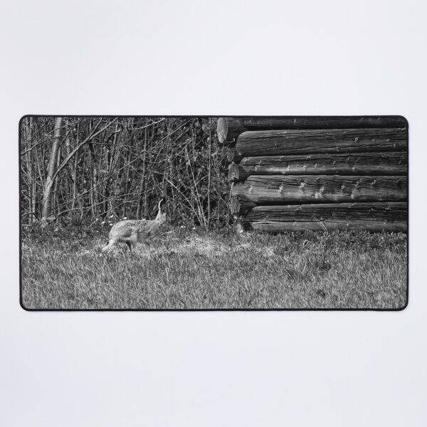 Item preview, Hare and a barn.  European hare bw designed and sold by Jouko Lehto Photography.
