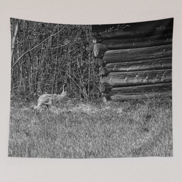 Item preview, Hare and a barn.  European hare bw designed and sold by Jouko Lehto Photography.