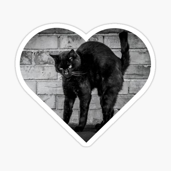 Item preview, Spooky Cat- Heart designed and sold by GwenSnow.
