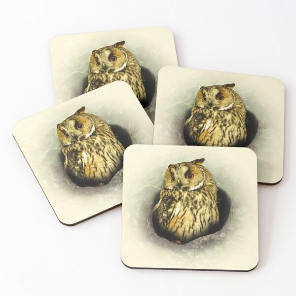 Item preview, Long-eared owl designed and sold by Guardi71.