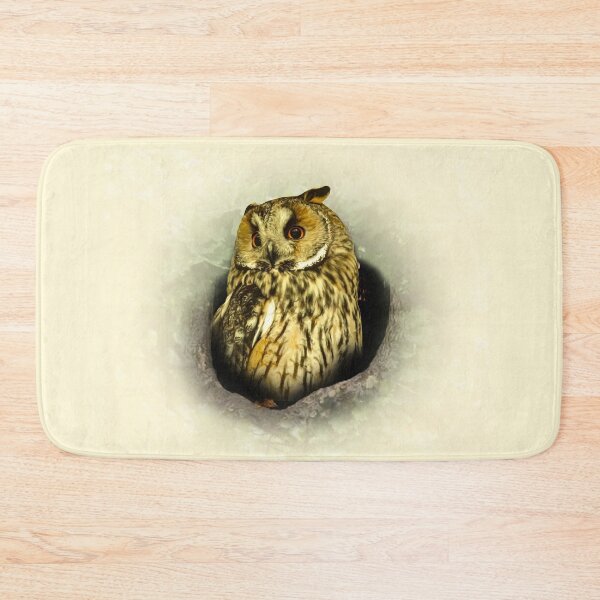 Item preview, Long-eared owl designed and sold by Guardi71.