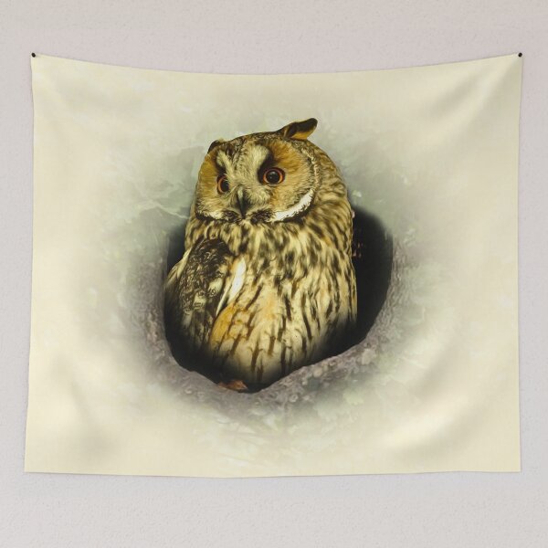 Item preview, Long-eared owl designed and sold by Guardi71.